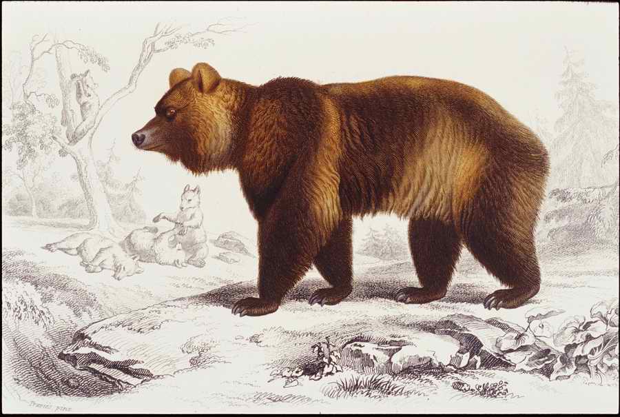 Italian Fine Art, Prints & Photographs - Photodisc ></a>
<script language=JavaScript> 
  var txt = 