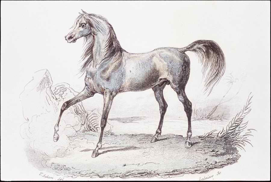 Italian Fine Art, Prints & Photographs - Photodisc ></a>
<script language=JavaScript> 
  var txt = 