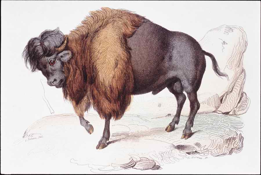 Italian Fine Art, Prints & Photographs - Photodisc ></a>
<script language=JavaScript> 
  var txt = 