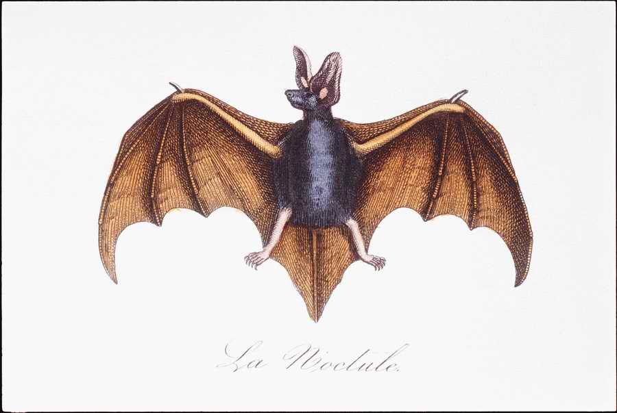 Italian Fine Art, Prints & Photographs - Photodisc ></a>
<script language=JavaScript> 
  var txt = 