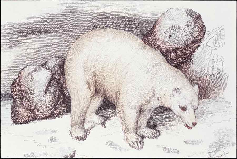 Italian Fine Art, Prints & Photographs - Photodisc ></a>
<script language=JavaScript> 
  var txt = 