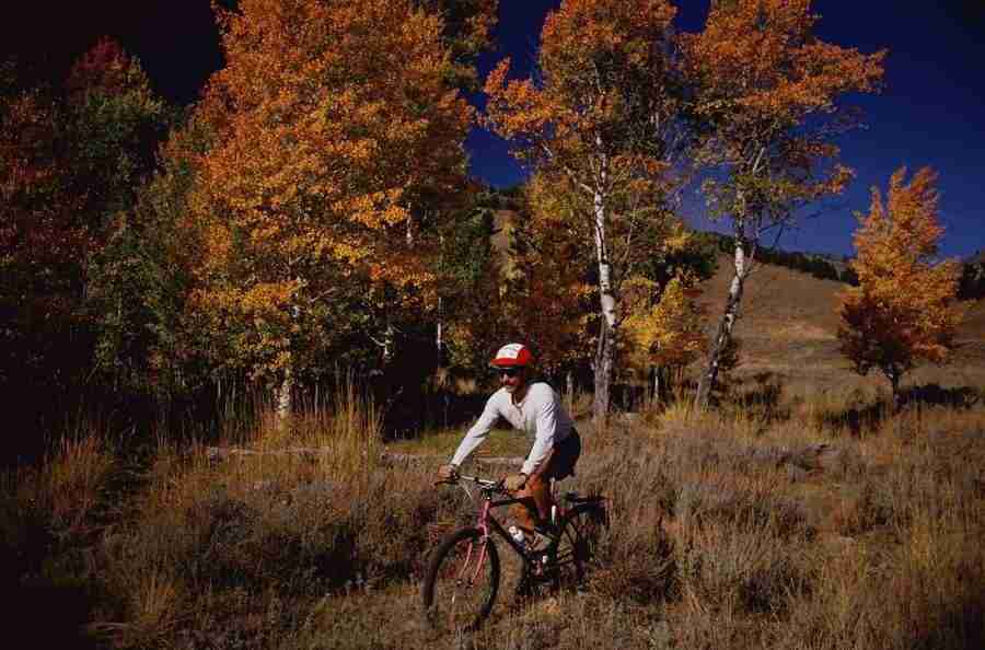 Internatinal Sports - Photodisc ></a>
<script language=JavaScript> 
  var txt = 