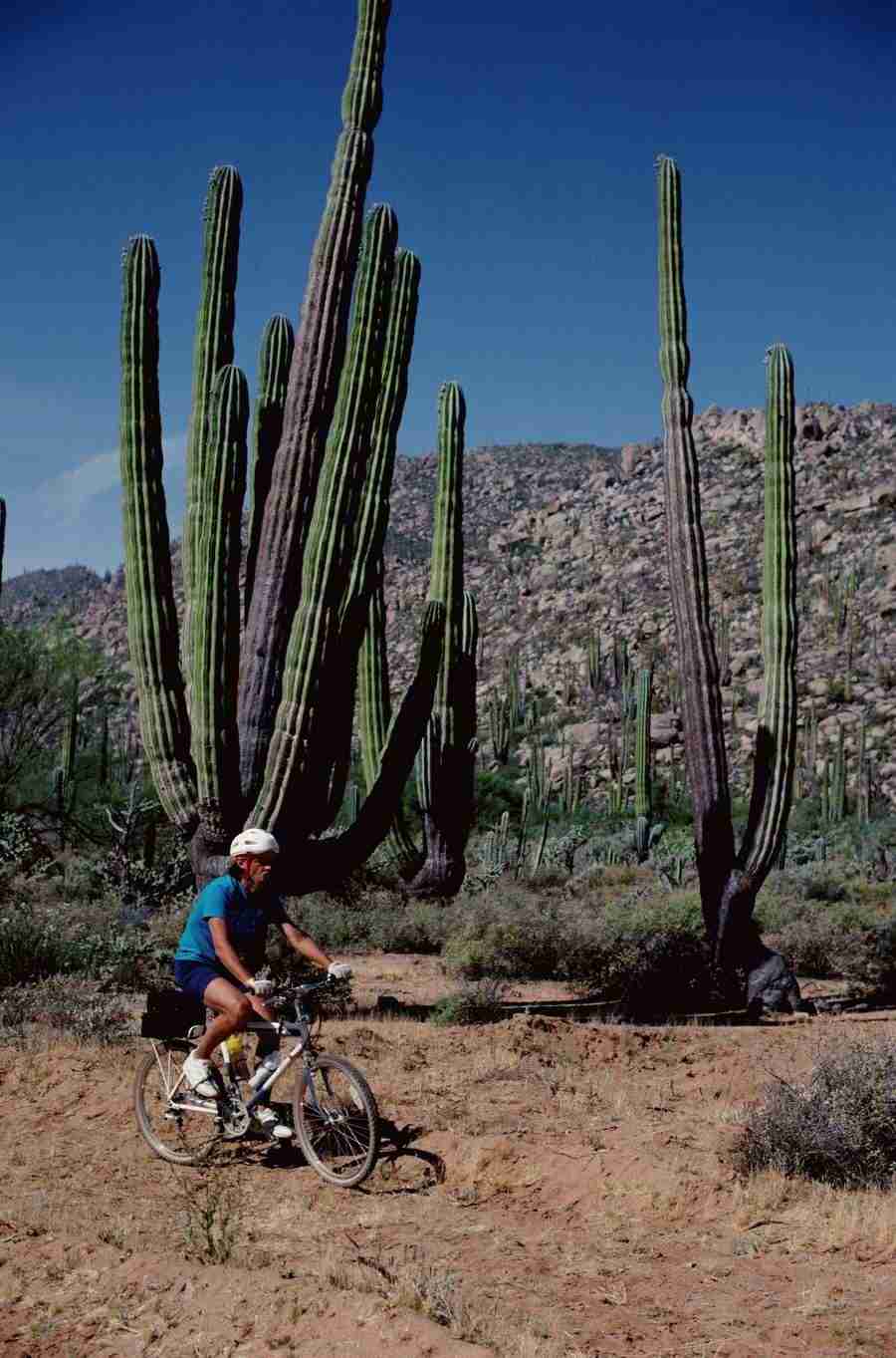 Internatinal Sports - Photodisc ></a>
<script language=JavaScript> 
  var txt = 