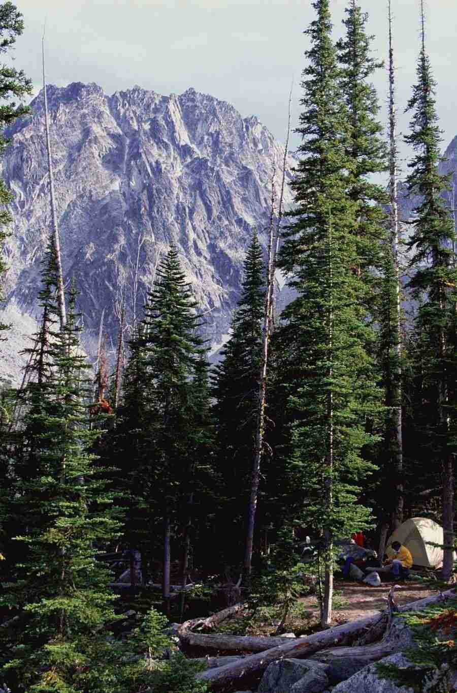 Internatinal Sports - Photodisc ></a>
<script language=JavaScript> 
  var txt = 