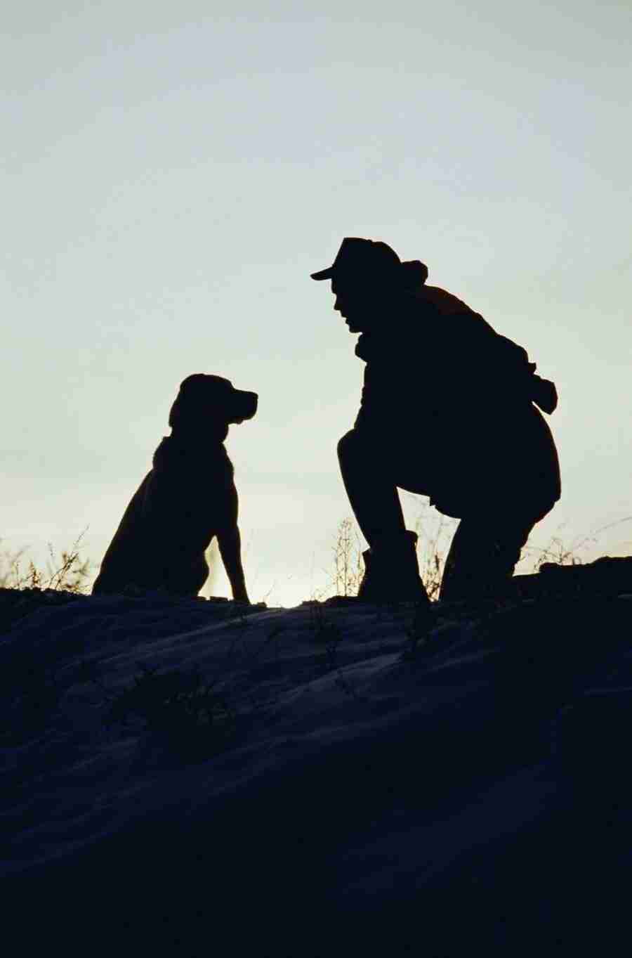 Internatinal Sports - Photodisc ></a>
<script language=JavaScript> 
  var txt = 