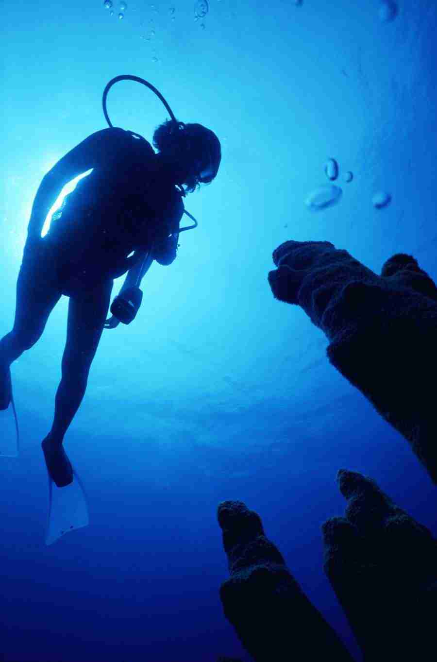 Internatinal Sports - Photodisc ></a>
<script language=JavaScript> 
  var txt = 