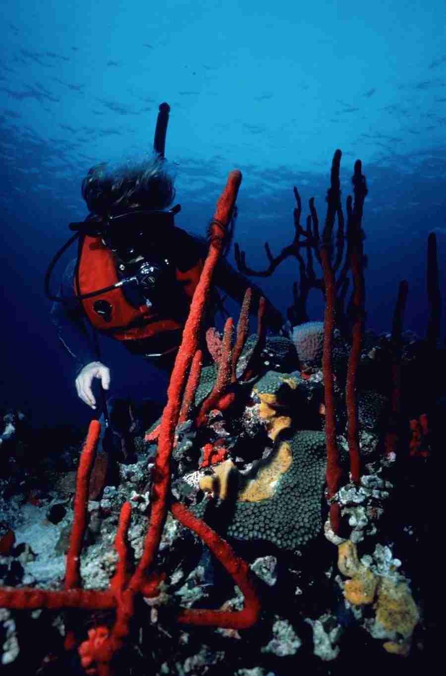 Internatinal Sports - Photodisc ></a>
<script language=JavaScript> 
  var txt = 