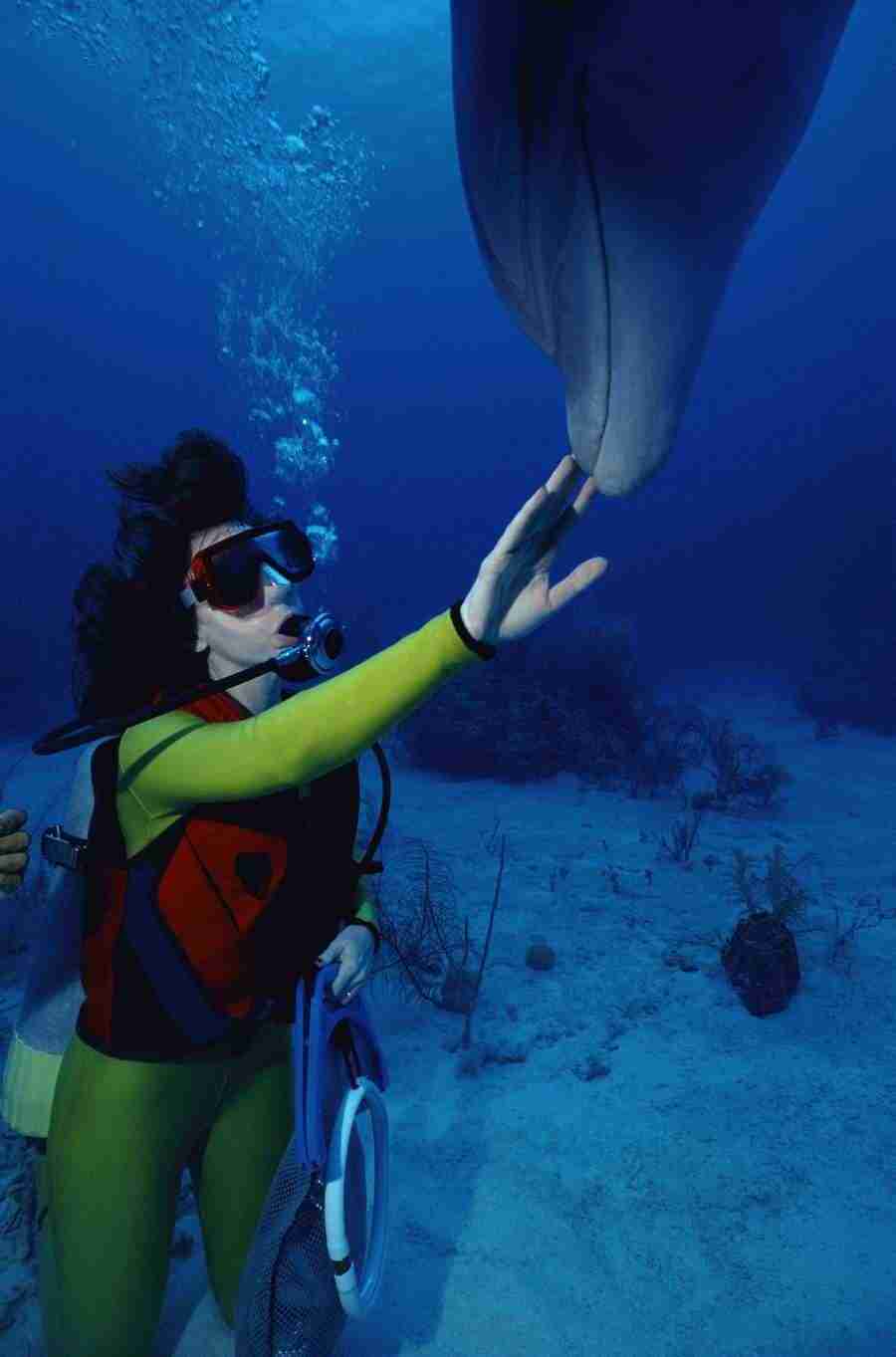 Internatinal Sports - Photodisc ></a>
<script language=JavaScript> 
  var txt = 