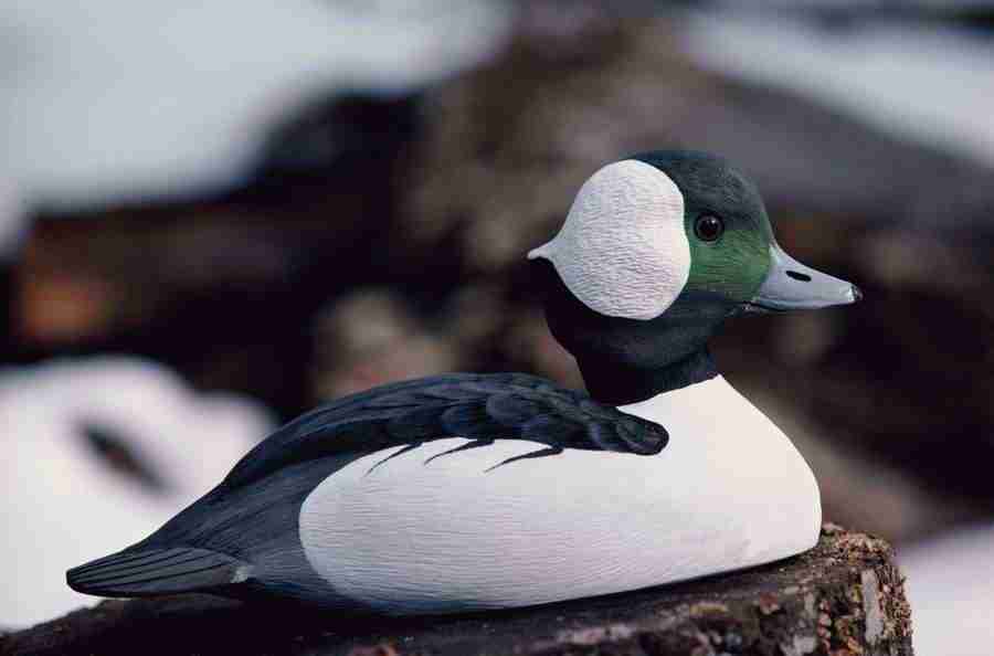 Internatinal Sports - Photodisc ></a>
<script language=JavaScript> 
  var txt = 