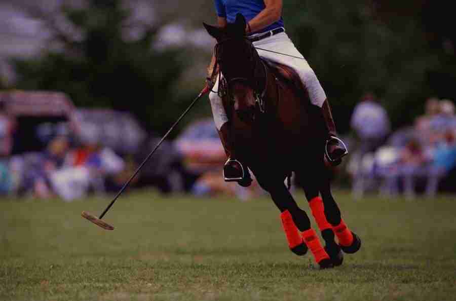 Internatinal Sports - Photodisc ></a>
<script language=JavaScript> 
  var txt = 