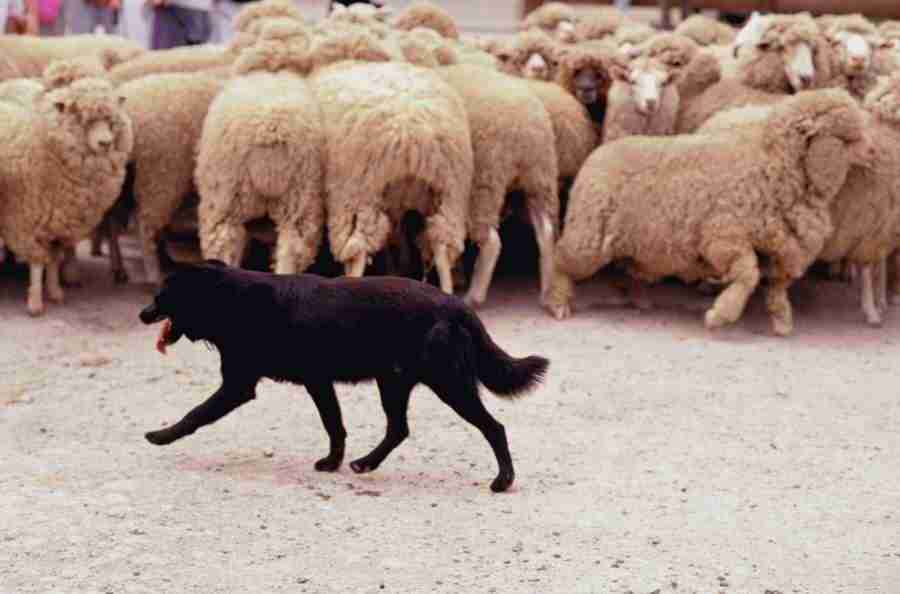 Internatinal Sports - Photodisc ></a>
<script language=JavaScript> 
  var txt = 