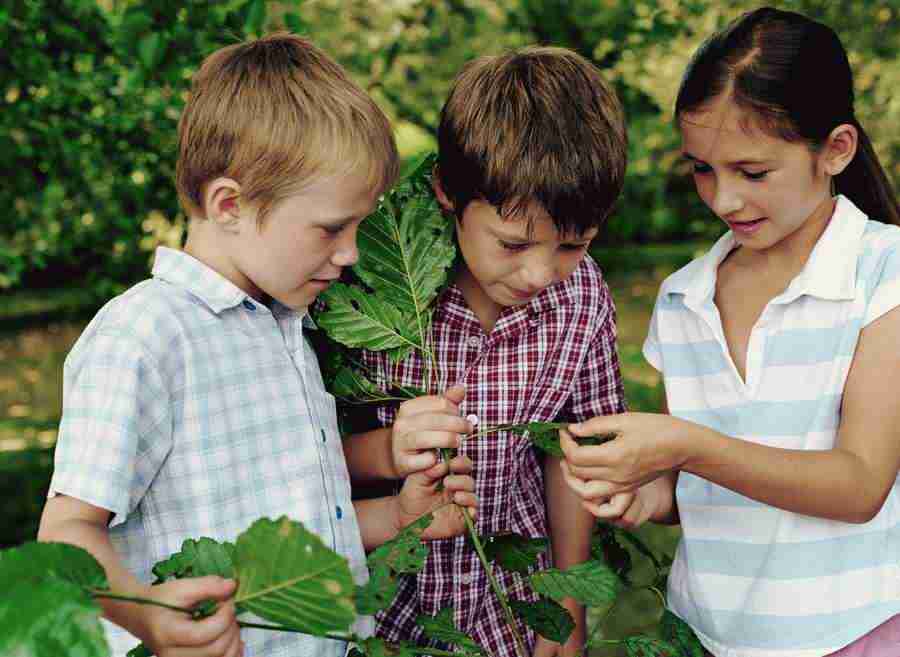 Kid Space - Photodisc ></a>
<script language=JavaScript> 
  var txt = 