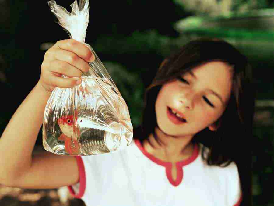 Kid Space - Photodisc ></a>
<script language=JavaScript> 
  var txt = 