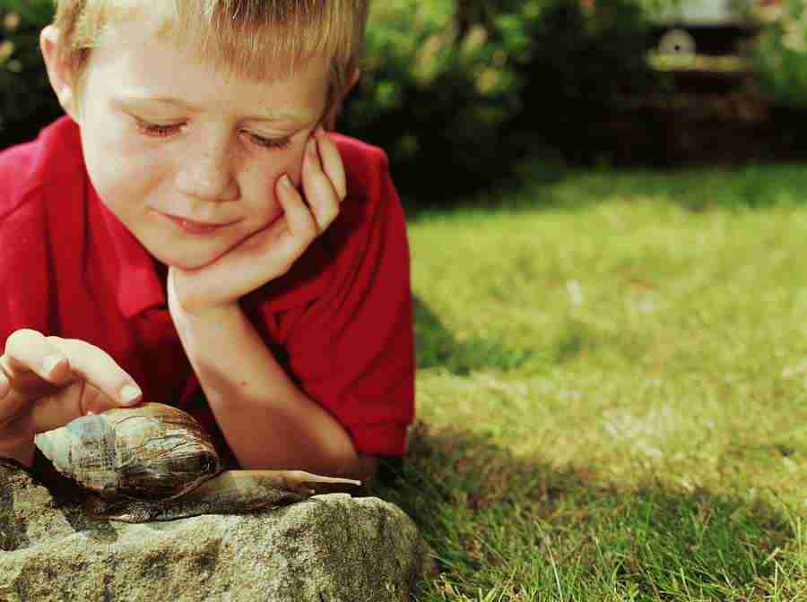 Kid Space - Photodisc ></a>
<script language=JavaScript> 
  var txt = 