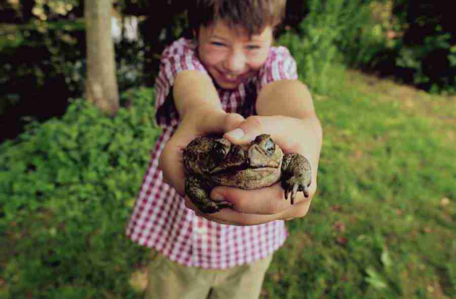 Kid Space - Photodisc ></a>
<script language=JavaScript> 
  var txt = 