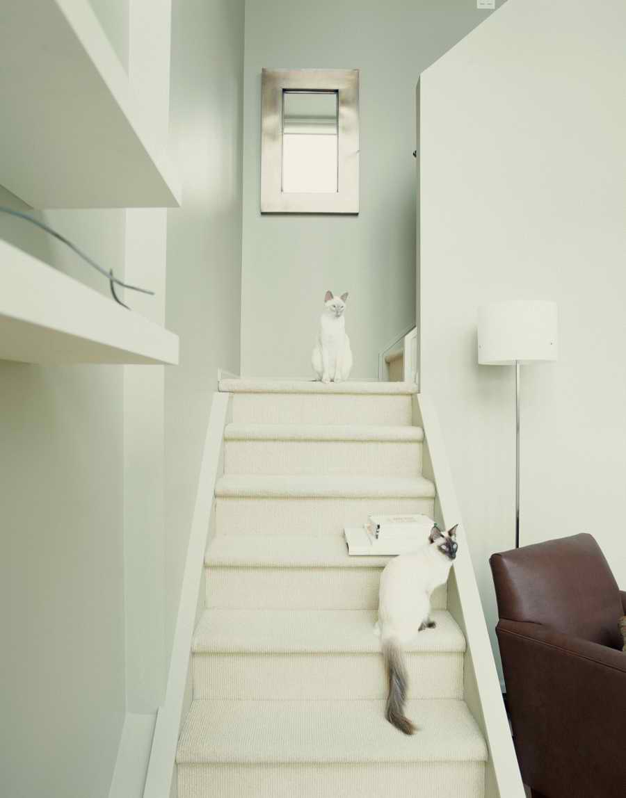 Living Space [PD108] - Photodisc ></a>
<script language=JavaScript> 
  var txt = 