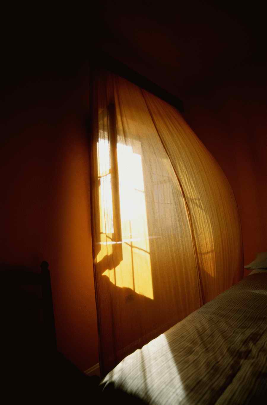 Living Space [PD108] - Photodisc ></a>
<script language=JavaScript> 
  var txt = 