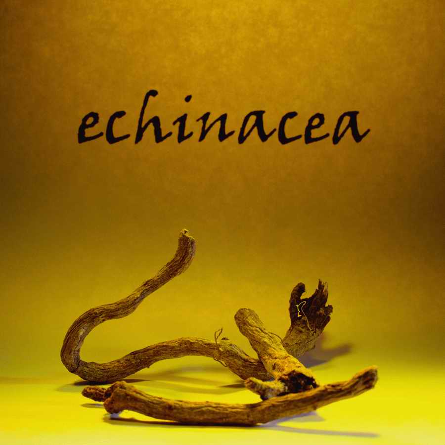 Medicine Today - Photodisc ></a>
<script language=JavaScript> 
  var txt = 