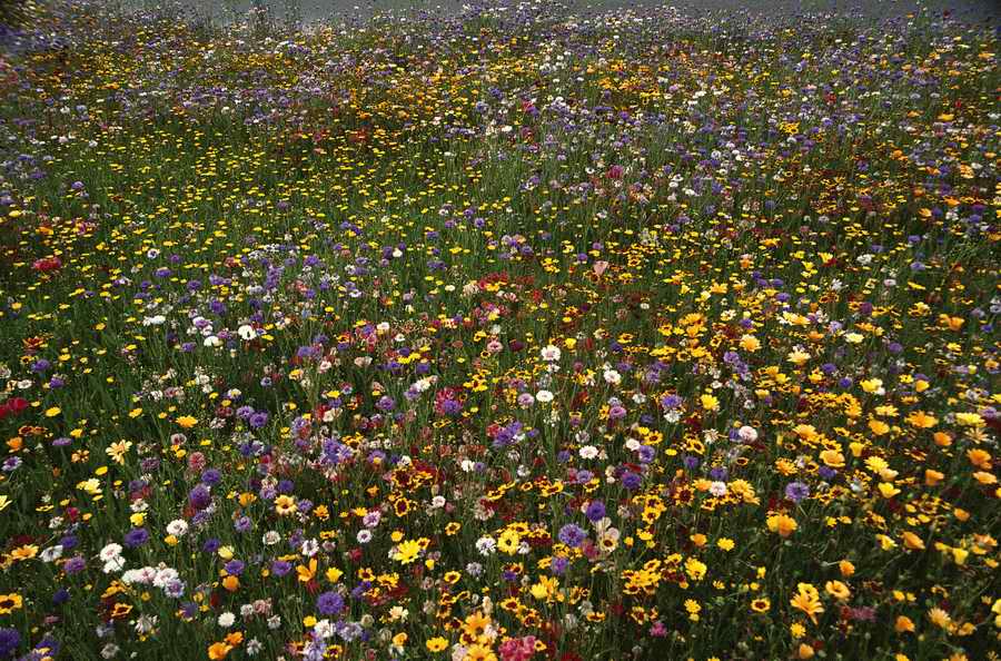 Mature LifeStyles - Photodisc ></a>
<script language=JavaScript> 
  var txt = 