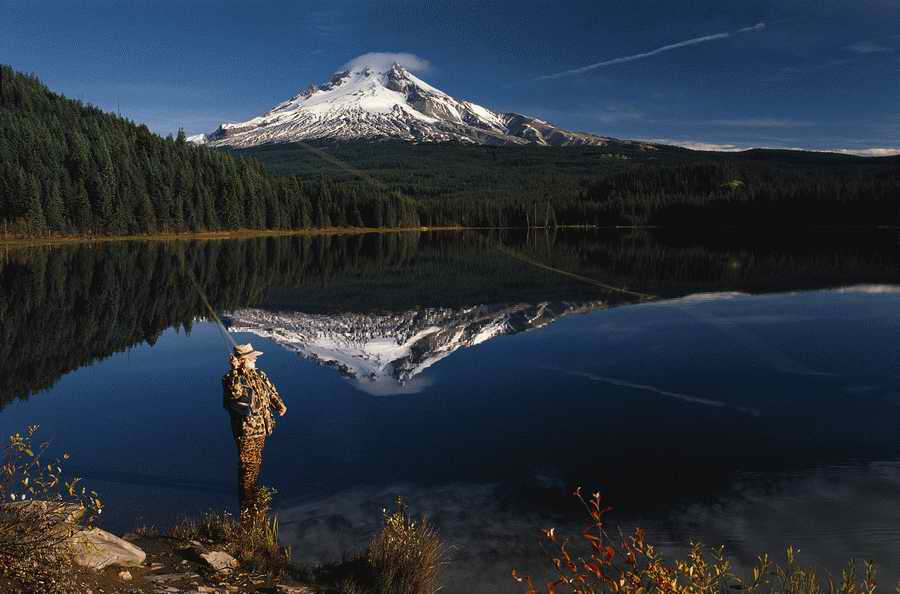 Mature LifeStyles - Photodisc ></a>
<script language=JavaScript> 
  var txt = 