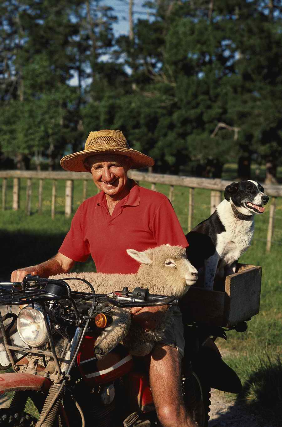 Mature LifeStyles - Photodisc ></a>
<script language=JavaScript> 
  var txt = 