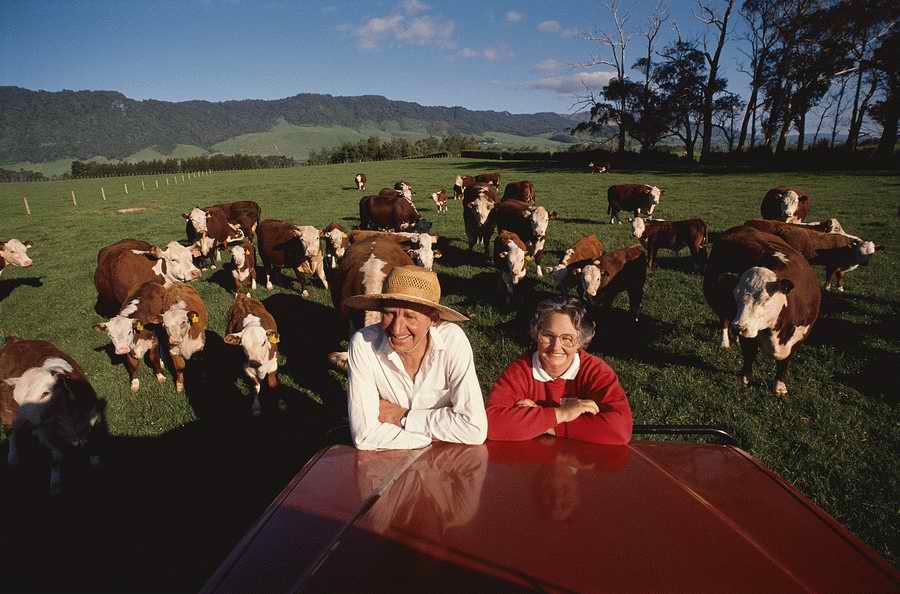 Mature LifeStyles - Photodisc ></a>
<script language=JavaScript> 
  var txt = 