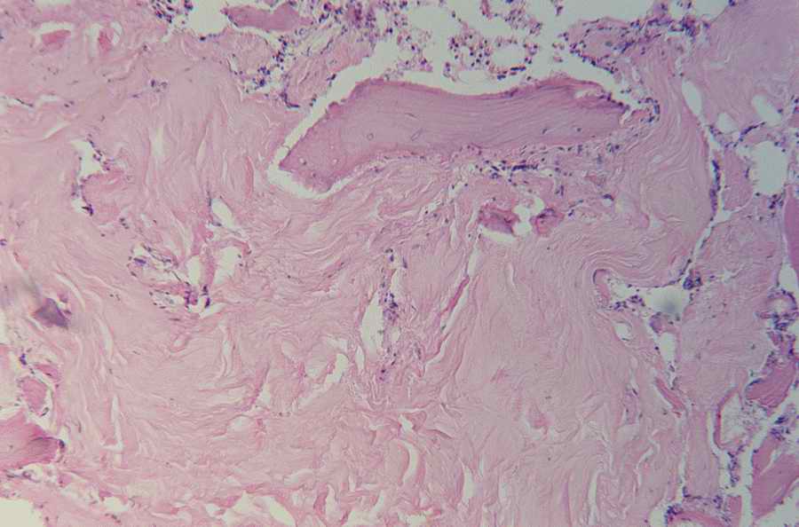 Modern Technologies - Photodisc ></a>
<script language=JavaScript> 
  var txt = 