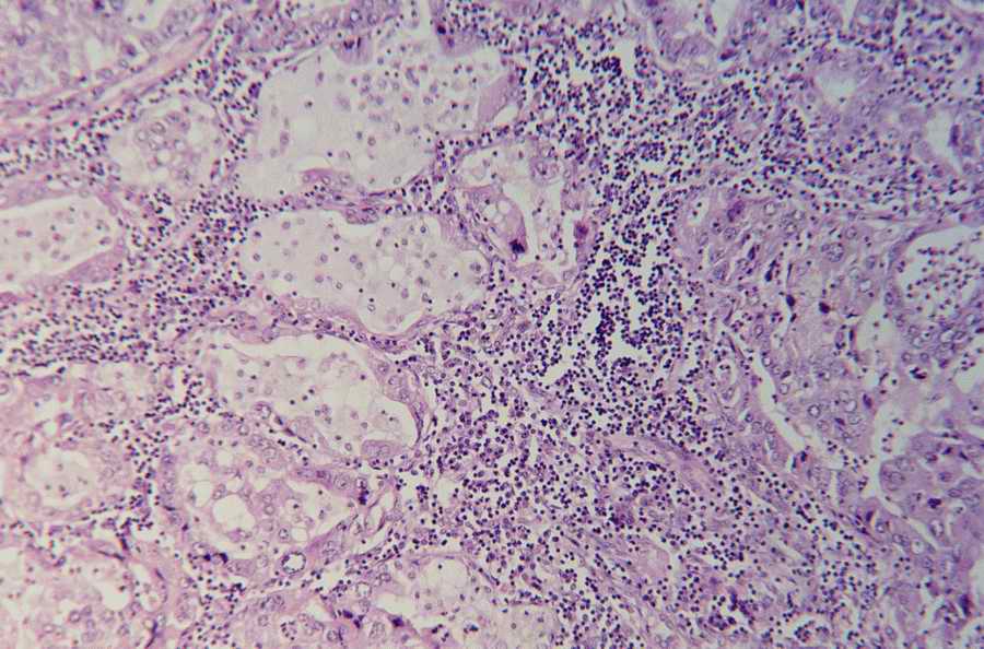 Modern Technologies - Photodisc ></a>
<script language=JavaScript> 
  var txt = 