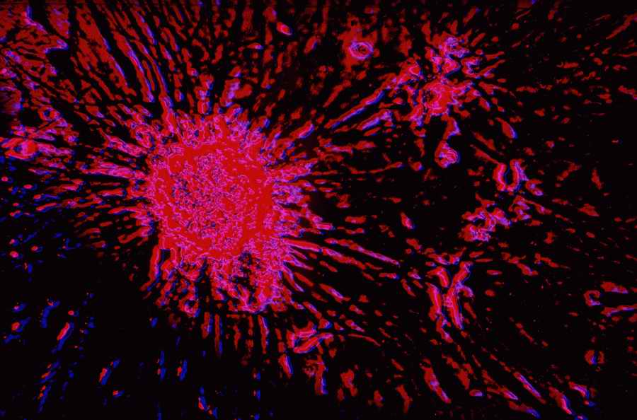 Modern Technologies - Photodisc ></a>
<script language=JavaScript> 
  var txt = 