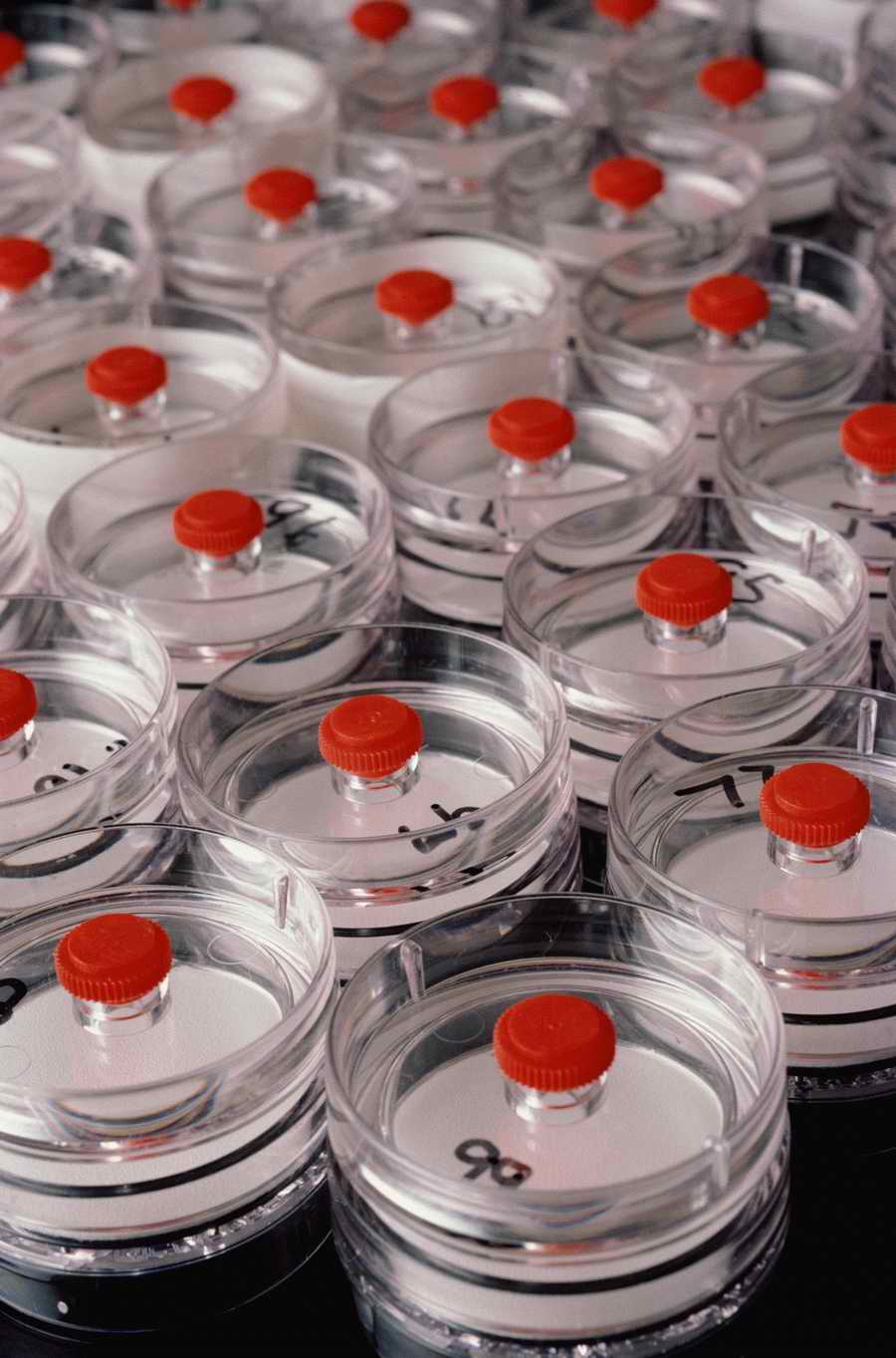 Modern Technologies - Photodisc ></a>
<script language=JavaScript> 
  var txt = 