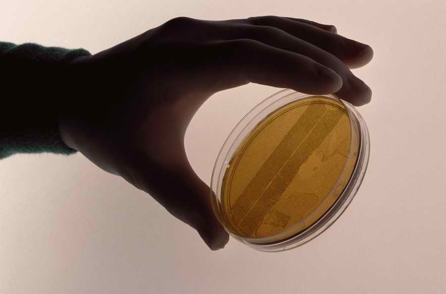 Modern Technologies - Photodisc ></a>
<script language=JavaScript> 
  var txt = 