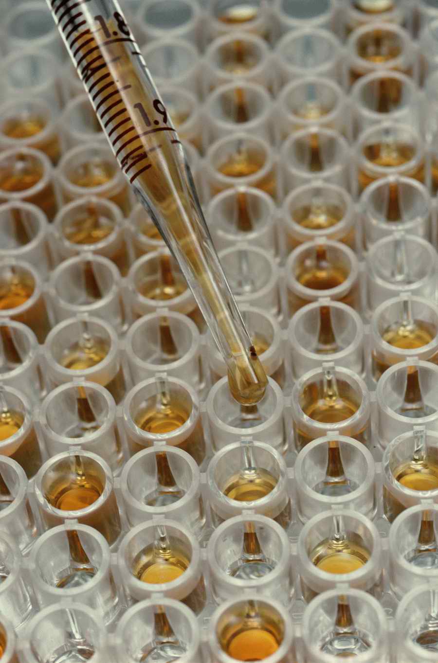 Modern Technologies - Photodisc ></a>
<script language=JavaScript> 
  var txt = 