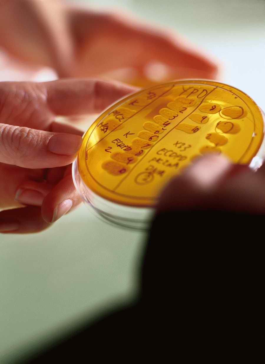 Modern Technologies 2 - Photodisc ></a>
<script language=JavaScript> 
  var txt = 