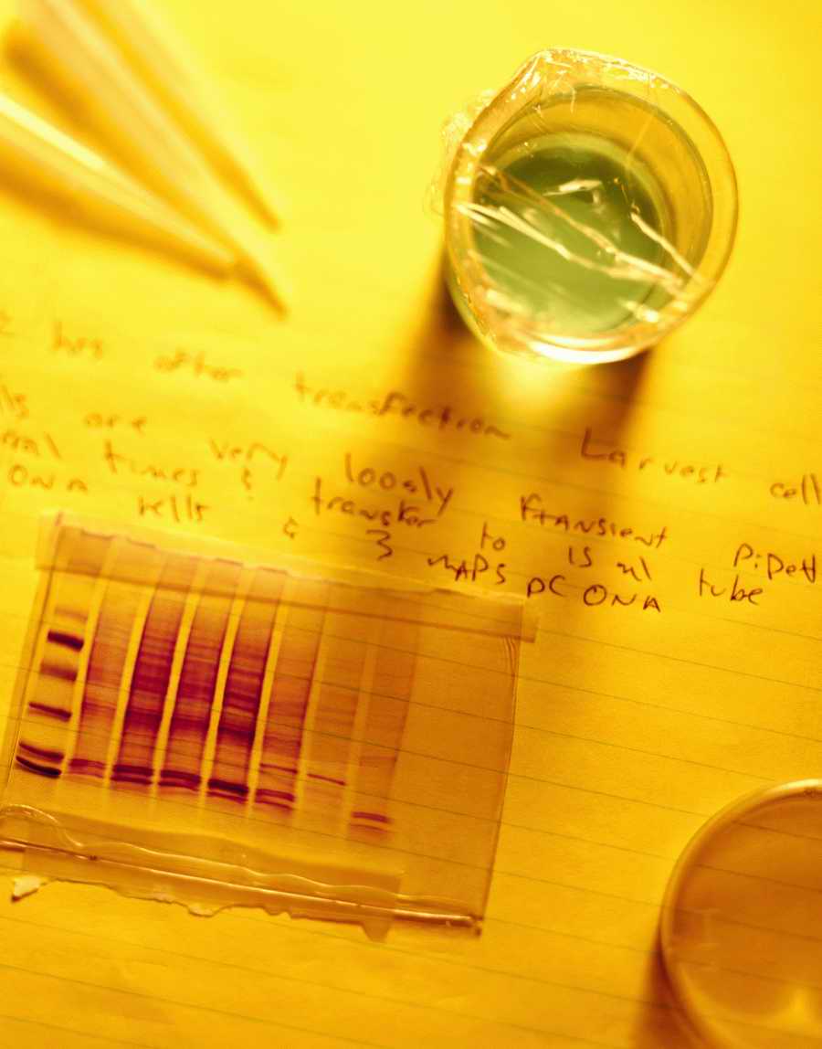 Modern Technologies 2 - Photodisc ></a>
<script language=JavaScript> 
  var txt = 