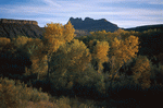 Photodisc: Nature Scenes 