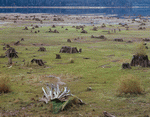 Photodisc: Nature Scenes 