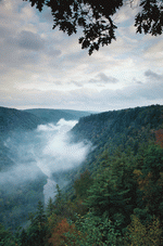 Photodisc: Nature Scenes 