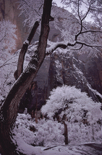 Photodisc: Nature Scenes 