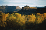 Photodisc: Nature Scenes 