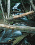 Photodisc: Nature Scenes 