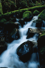 Photodisc: Nature Scenes 