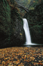 Photodisc: Nature Scenes 