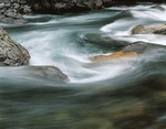 Photodisc: Nature Scenes 