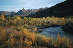 Photodisc: Nature Scenes 