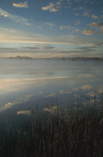 Photodisc: Nature Scenes 