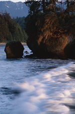 Photodisc: Nature Scenes 