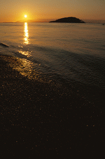 Photodisc: Nature Scenes 