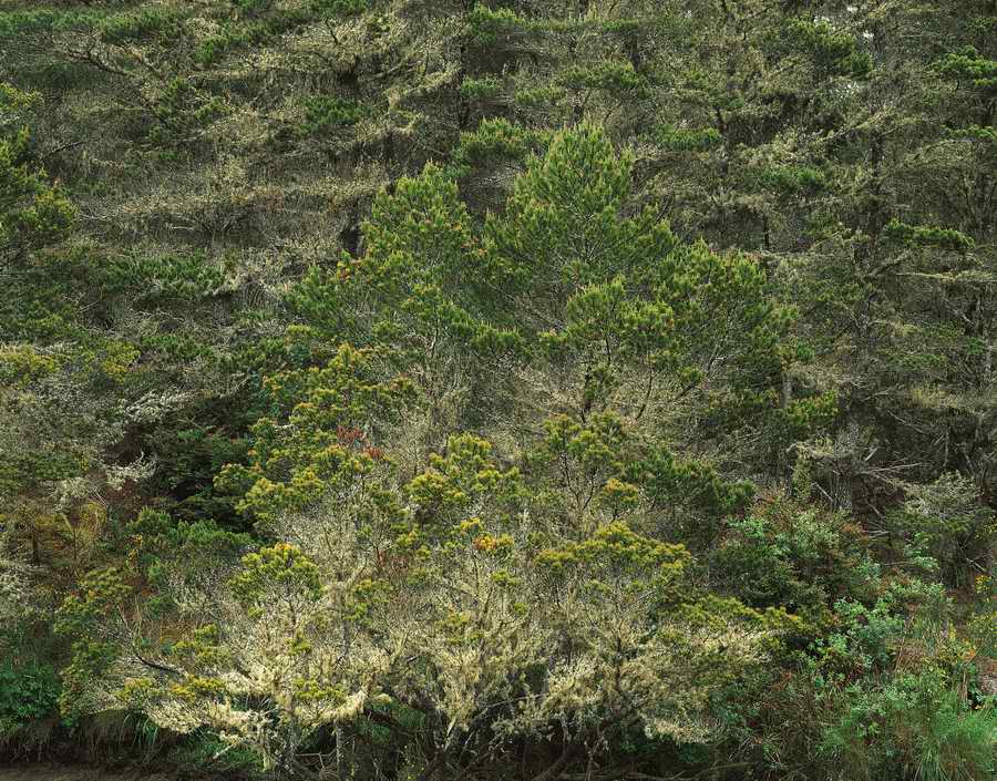 Nature Scenes - Photodisc ></a>
<script language=JavaScript> 
  var txt = 