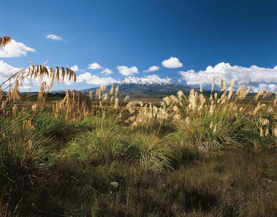 Nature Scenes - Photodisc ></a>
<script language=JavaScript> 
  var txt = 