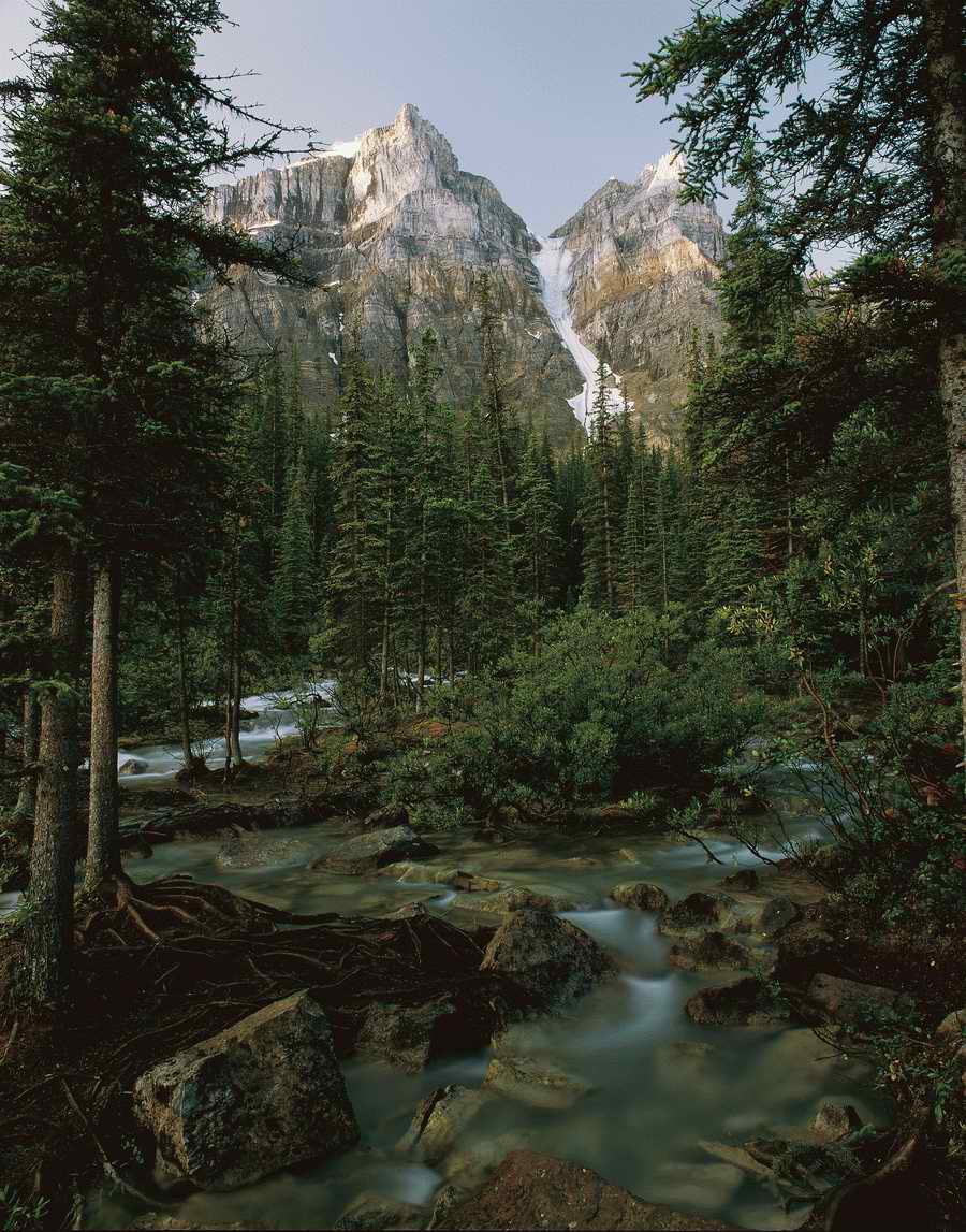 Nature Scenes - Photodisc ></a>
<script language=JavaScript> 
  var txt = 